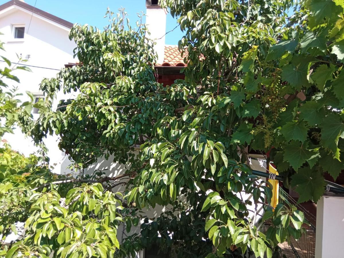 Apartments Antares Mali Losinj Ngoại thất bức ảnh