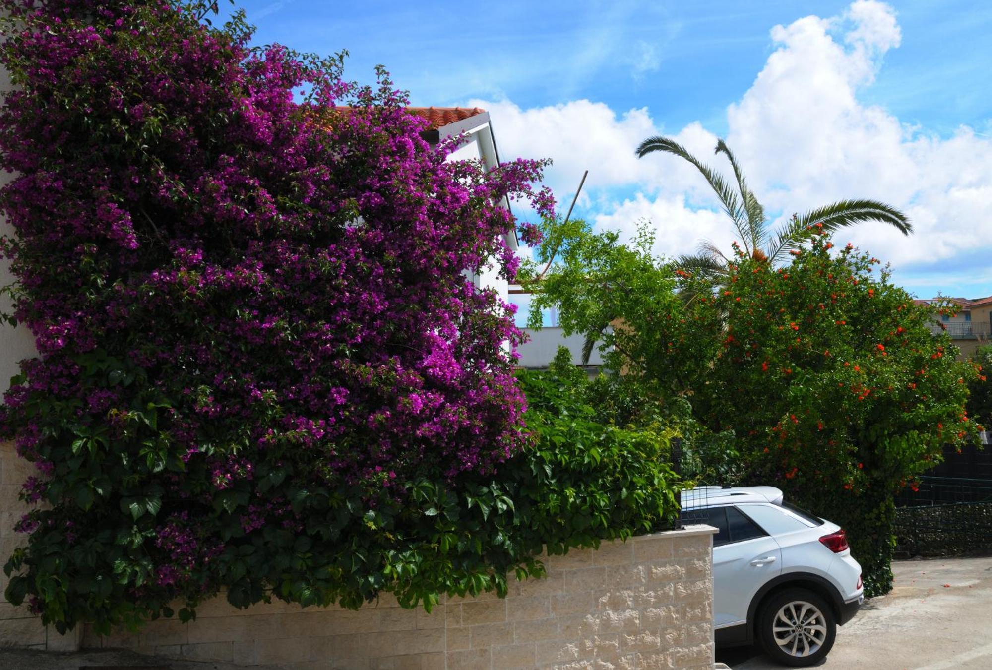 Apartments Antares Mali Losinj Ngoại thất bức ảnh